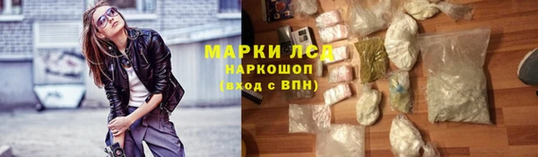гидра Аркадак