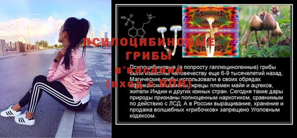 гидра Аркадак