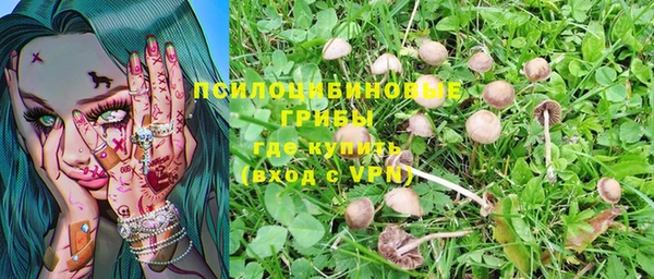 a pvp Армянск